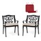 Set of 2 Cast Aluminium Dining Chairs with Cushions, Olefin Fabric